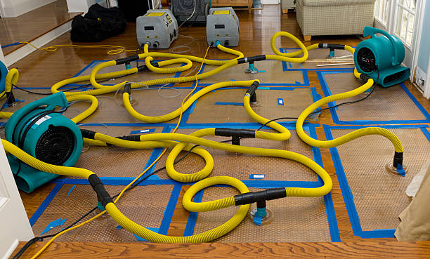 Professional Sewage Cleanup technician working in Grand Prairie, TX